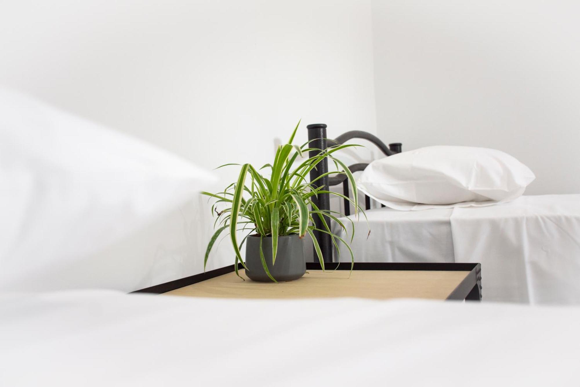 Christina Apartment 키사모스 외부 사진